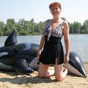 12 ���� 2016