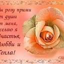 ���� ��������, ������ - ��������� 8 ��� 2016 � ������ ���� ����������