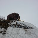 ���� ������, ���������, 33 ���� - ��������� 16 ������ 2016 � ������ ���� ����������