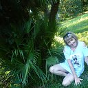 ���� ������, ��������� - ��������� 24 ���� 2016 � ������ ���� ����������