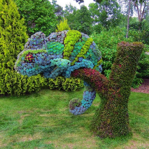  ..  Mosaiculture        ...