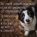 ���� �������, �������, 60 ��� - ��������� 25 ��� 2016 � ������ ���� ����������