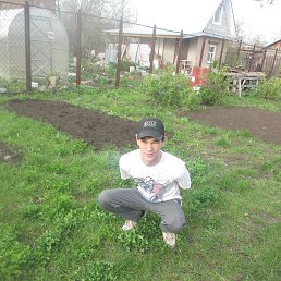 �����, ������