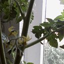 ���� ������ ))), ����-���, 50 ��� - ��������� 15 ���� 2016 � ������ ���� "��������� ������"�