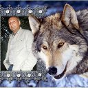 ���� Vitalii, ������, 55 ��� - ��������� 2 ��� 2016 � ������ ���� ����������