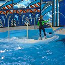���� ��������, ������, 68 ��� - ��������� 31 ���� 2016 � ������ ������-������� ������-���� �����-���Ȼ