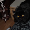 ���� Igor, ������, 57 ��� - ��������� 6 ���� 2016 � ������ ���� ����������