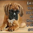 ���� �����, ����, 52 ���� - ��������� 1 ������ 2016 � ������ ������ ��������