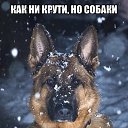 ���� *����������!!! 134, ��������� - ��������� 15 ������ 2016 � ������ ���� ����������