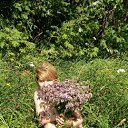 ���� ��� �?, �����-���������, 53 ���� - ��������� 30 ���� 2016 � ������ ���� ����������