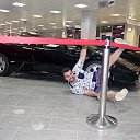 ���� ������, ���� - ��������� 27 ���� 2016 � ������ ���� ����������