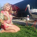 ���� ������, ���������, 47 ��� - ��������� 26 ��� 2016