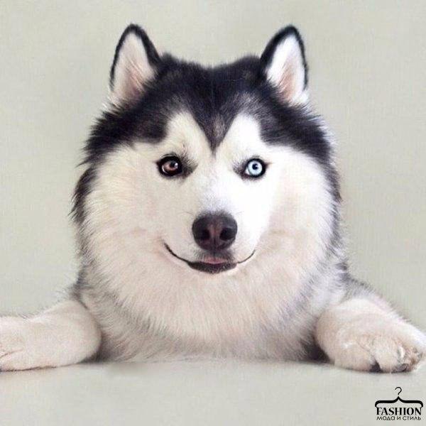 ... - 6