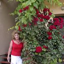 ���� ��������, ��������� - ��������� 27 ���� 2016 � ������ ���� ����������