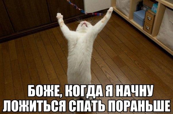 ... - 1  2016  17:58