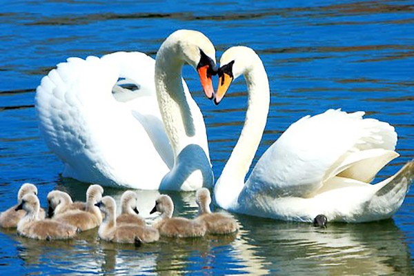 :)  ,    ,         ... - 2