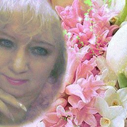 ���� �� ������, �����-���������, 71 ��� - ��������� 9 ������� 2016