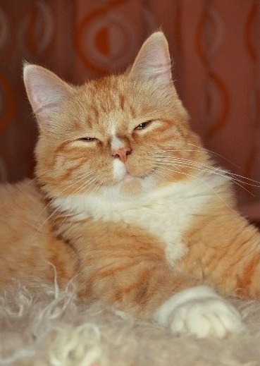     :3