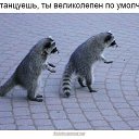 ���� ��������, ������, 41 ��� - ��������� 3 ������ 2016 � ������ ������ ��������