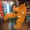 ���� �������, ���� - ��������� 9 ���� 2016 � ������ ������ ��������