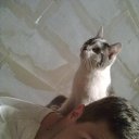 ���� Sergeyz1994, �������, 32 ���� - ��������� 12 ����� 2016 � ������ ���� ����������