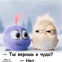 ���� ������, ���������, 53 ���� - ��������� 8 ���� 2016 � ������ ���� ����������