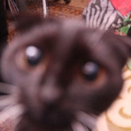 ����, ����, 31 ���