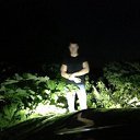 ���� D 123 12345, ������, 46 ��� - ��������� 29 ��� 2016 � ������ ���� ����������