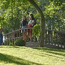  ,  -  12  2016     -    - 31  2015 