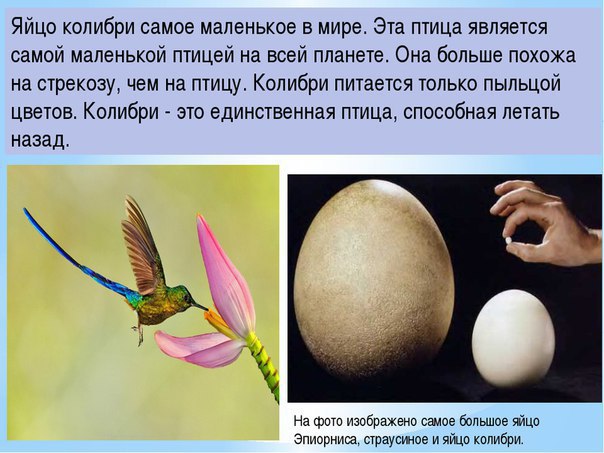 ����� �������� - 27 ��� 2016 � 15:49