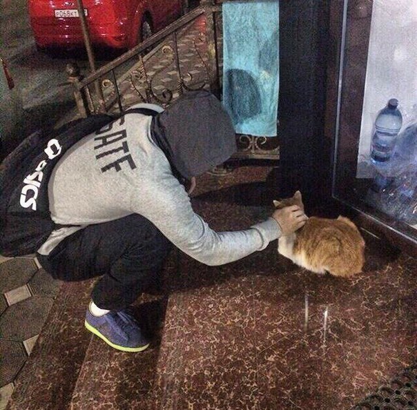   ,    ,     ,    ...