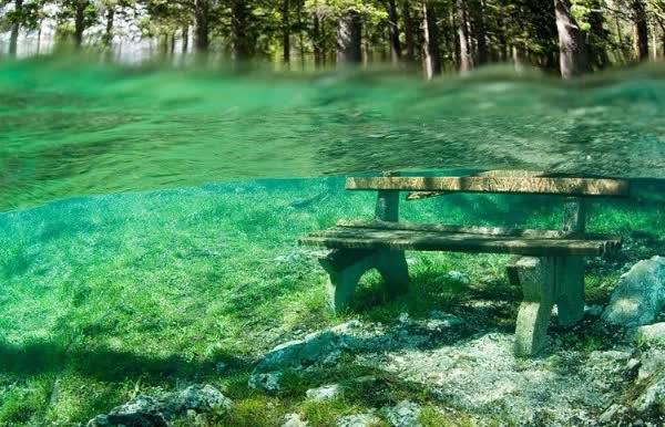   (Gruner See) - -   - 3