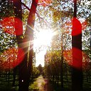 ���� ������, ������, 39 ��� - ��������� 5 ���� 2016 � ������ ����ջ