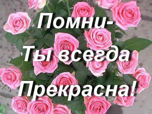  - 6  2016  10:43