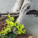���� ������, ������, 64 ���� - ��������� 28 ���� 2016 � ������ ������ ��������