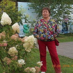 ���� �����, ������ - ��������� 28 ������� 2016