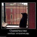 ���� ������, ���������, 68 ��� - ��������� 22 ���� 2016 � ������ ������ ��������