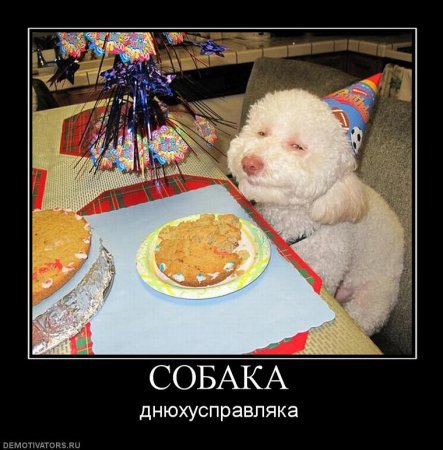 .Life.Is.Life. - 13  2016  10:47 - 2