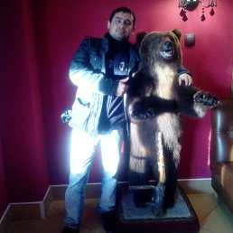 ����, ������, 45 ���