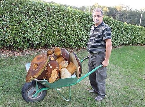   .  .       . ,  ... - 20