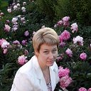 ���� ��������, ������ �������� - ��������� 5 ���� 2016