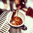 ���� ���������, �����-��������� - ��������� 25 ���� 2016 � ������ ������ ��������