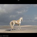 ���� �������, �������, 45 ��� - ��������� 17 ����� 2016 � ������ ���� ����������