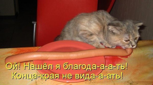  - 21  2016  15:03