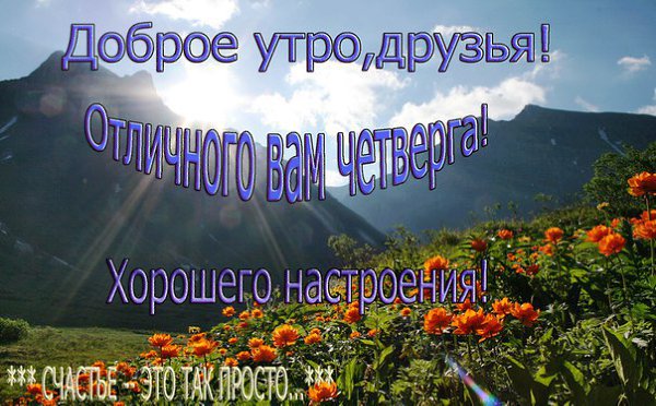  - 16  2016  06:37