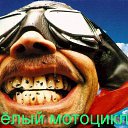 ���� �����, ������� - ��������� 26 ���� 2016 � ������ ���� ����������