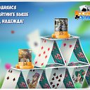 ���� �����, �����������, 56 ��� - ��������� 11 ������� 2016 � ������ �������� �������-�������