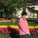 ���� ������, �����, 61 ��� - ��������� 13 ���� 2016