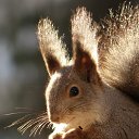 ���� �����, ������������, 59 ��� - ��������� 16 ���� 2016 � ������ ������.�