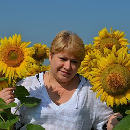 ��������, ��������